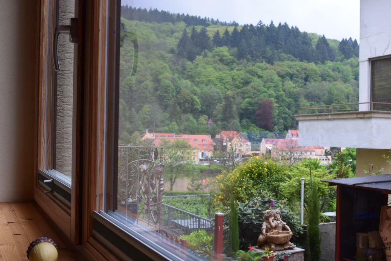 Nichtraucherferienwohnung-Neckarblick Ze-2022-74-Wz-118A Heidelberg Extérieur photo