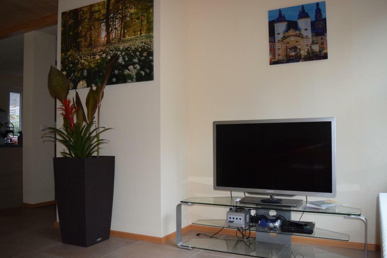 Nichtraucherferienwohnung-Neckarblick Ze-2022-74-Wz-118A Heidelberg Extérieur photo